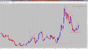 30 días para ganarle dinero a la soja